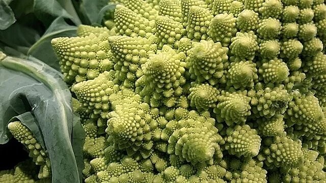 Lost Recipes of Ancient Civilization People Really Ate