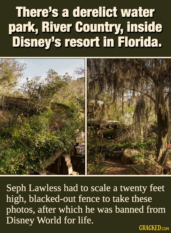 There's a derelict water park, River Country, inside Disney's resort in Florida. Seph Lawless had to scale a twenty feet high, blacked-out fence to take these photos, after which he was banned from Disney World for life. CRACKED.COM