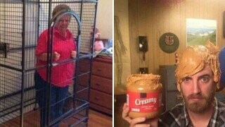 People Who Probably Shouldn't Be Left Unsupervised