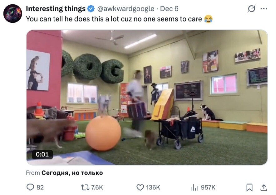 Interesting things @awkwardgoogle Dec 6 ... You can tell he does this a lot cuz no one seems to care 0:01 From Сегодня, но только 82 7.6K 136K 957K