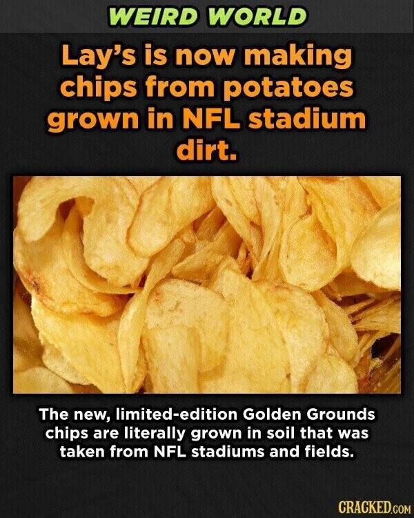 WEIRD WORLD Lay's is now making chips from potatoes grown in NFL stadium dirt. The new, limited-edition Golden Grounds chips are literally grown in soil that was taken from NFL stadiums and fields. CRACKED.COM