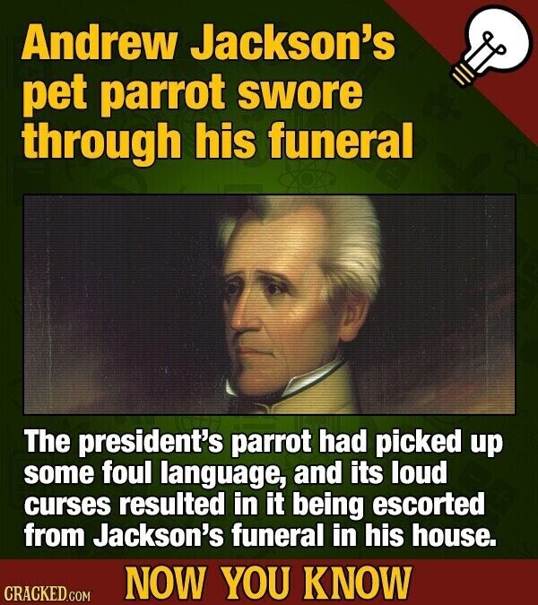 Andrew Jackson's pet parrot swore through his funeral The president's parrot had picked up some foul language, and its loud curses resulted in it being escorted from Jackson's funeral in his house. NOW YOU KNOW CRACKED.COM