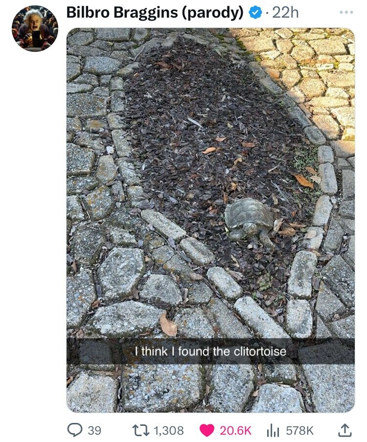 Bilbro Braggins (parody) 22h I think I found the clitortoise 39 1,308 20.6K 578K 