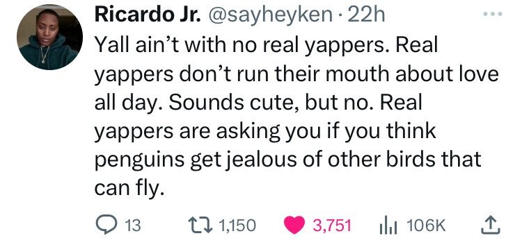 Ricardo Jr. @sayheyken 22h ... Yall ain't with no real yappers. Real yappers don't run their mouth about love all day. Sounds cute, but no. Real yappers are asking you if you think penguins get jealous of other birds that can fly. 13 1,150 3,751 dil 106K