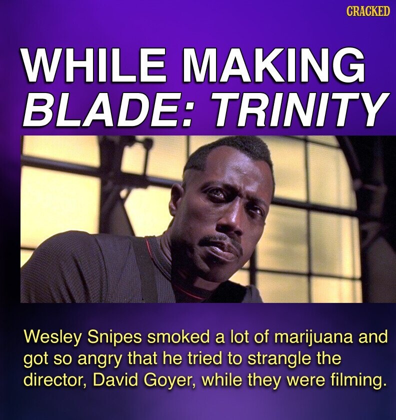 CRACKED WHILE MAKING BLADE: TRINITY Wesley Snipes smoked a lot of marijuana and got so angry that he tried to strangle the director, David Goyer, while they were filming.
