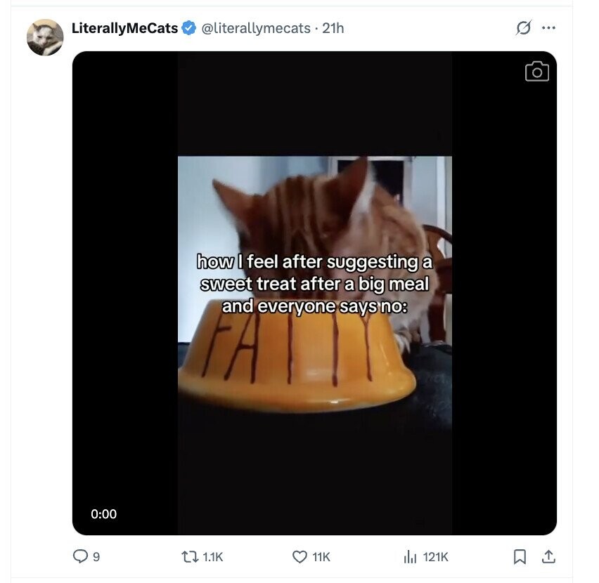 LiterallyMeCats @literallymecats . 21h G ... how I feel after suggesting a sweet treat after a big meal and everyone says no: 0:00 9 1.1K 11K de 121K 