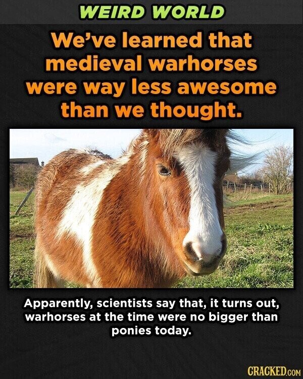 WEIRD WORLD We've learned that medieval warhorses were way less awesome than we thought. Apparently, scientists say that, it turns out, warhorses at the time were no bigger than ponies today. CRACKED.COM