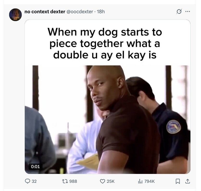 no context dexter @oocdexter. 18h G ... When my dog starts to piece together what a double u ay el kay is 0:01 32 988 25K 794K 