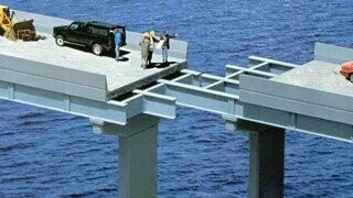 Photos from the Halls of the Smithsonian Of Stupidity