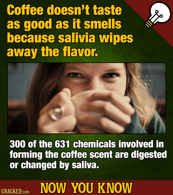Coffee doesn't taste as good as it smells because salivia wipes away the flavor. 300 of the 631 chemicals involved in forming the coffee scent are digested or changed by saliva. NOW YOU KNOW CRACKED.COM