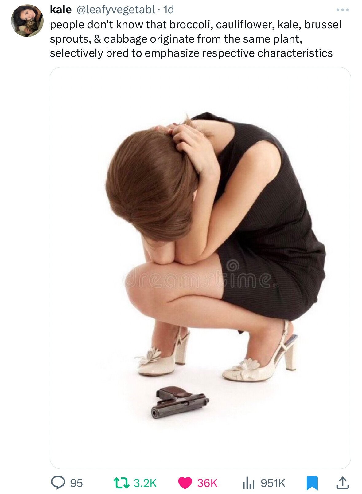 kale @leafyvegetabl. 1d people don't know that broccoli, cauliflower, kale, brussel sprouts, & cabbage originate from the same plant, selectively bred to emphasize respective characteristics dreamstime® 95 3.2K 36K 951K 