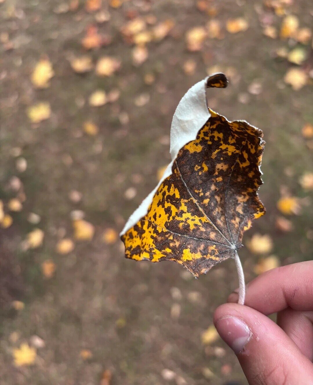 20 of the Day's Most Noteworthy Photos