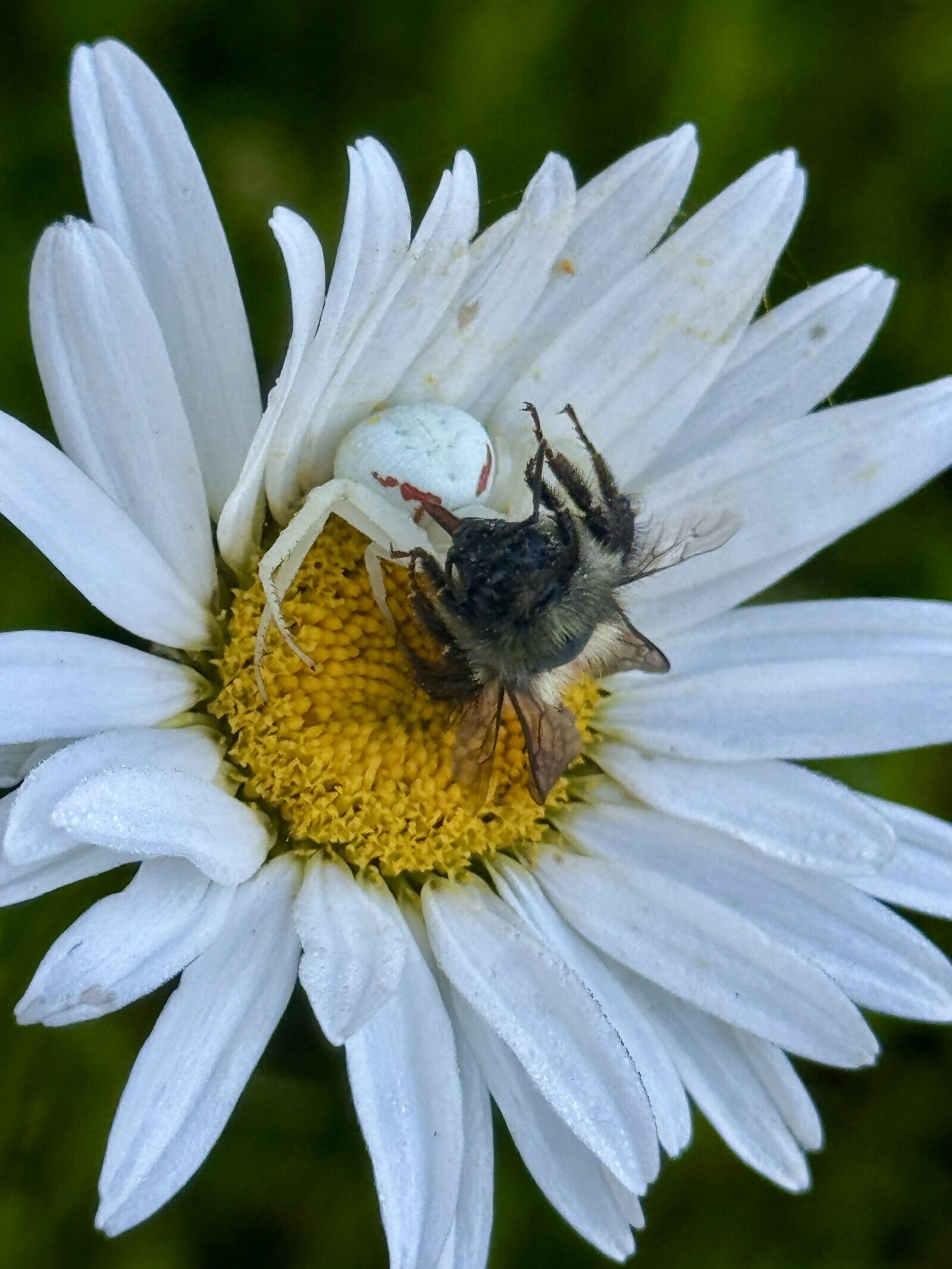 20 of the Day's Most Noteworthy Photos