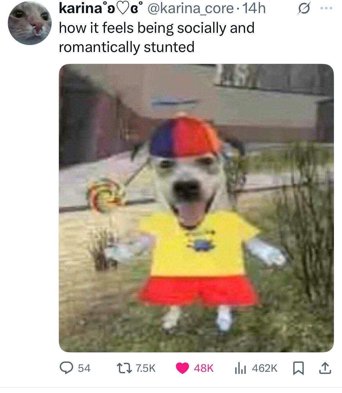 karina's в° @karina_core 14h S ... how it feels being socially and romantically stunted 54 7.5K 48K 462K 