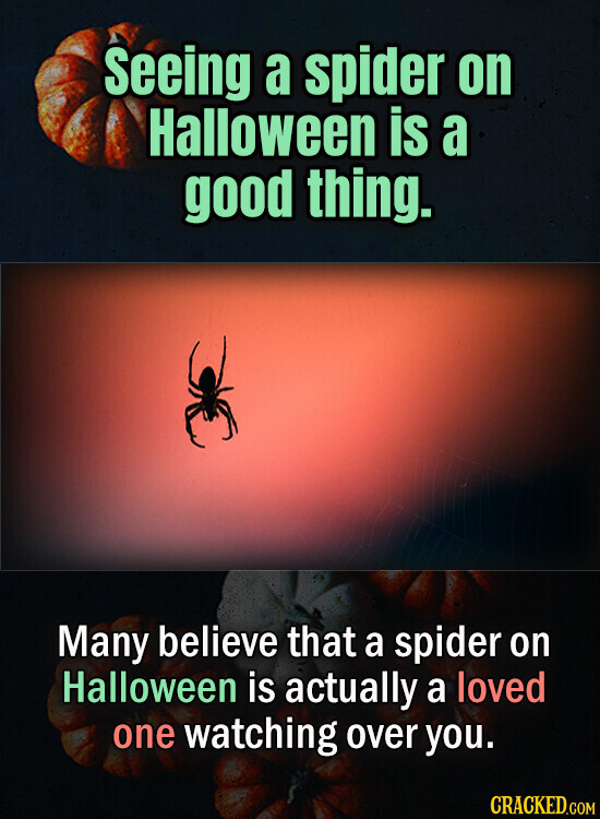 Seeing a spider on Halloween is a good thing. Many believe that a spider on Halloween is actually a loved one watching over you. CRACKED.COM