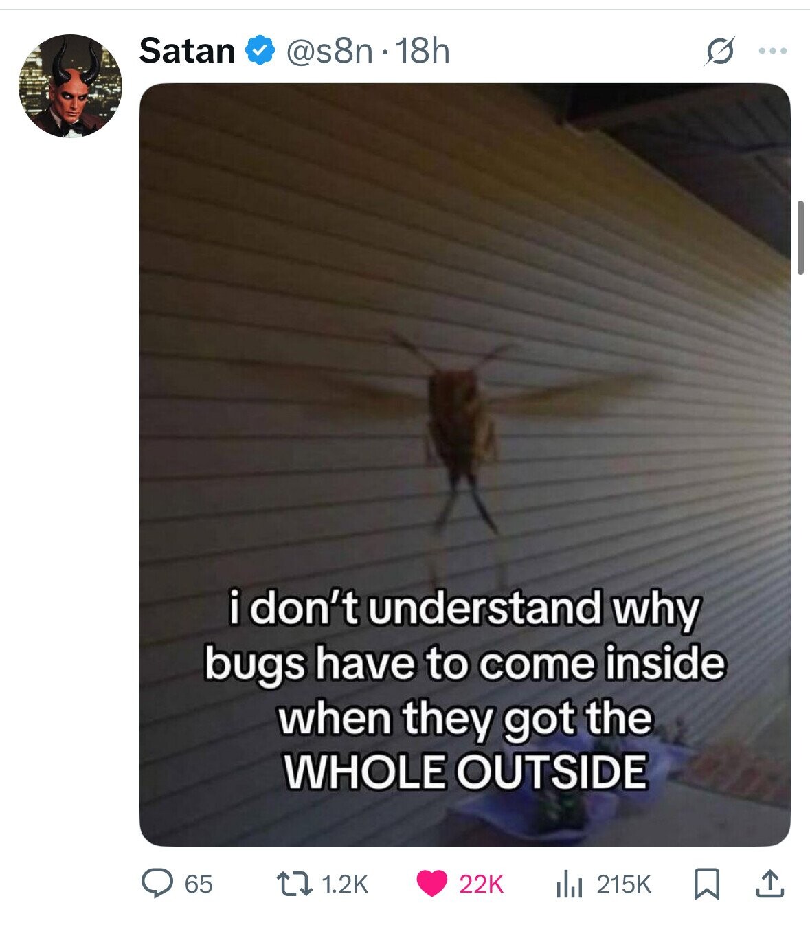 Satan @s8n.18h S ... i don't : understand why bugs have to come inside when they got the WHOLE OUTSIDE 65 1.2K 22K 215K 
