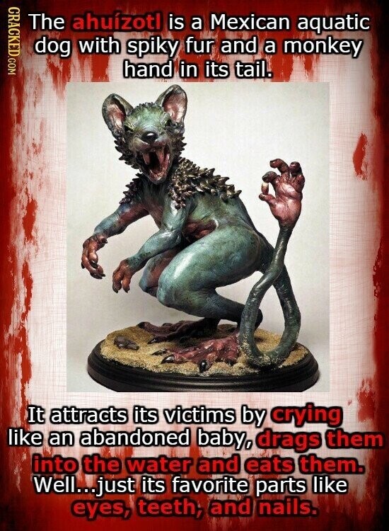 CRACKED.COM The ahuízotl is a Mexican aquatic dog with spiky fur and a monkey hand in its tail. It attracts its victims by crying like an abandoned baby, drags them into the water and eats them. Well...just its favorite parts like eyes, teeth, and nails.