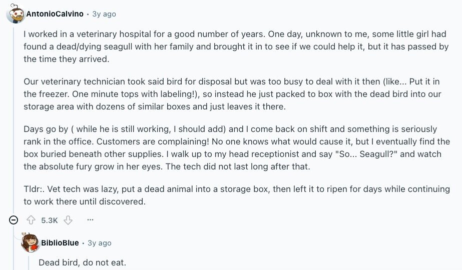 AntonioCalvino Зу ago I worked in a veterinary hospital for a good number of years. One day, unknown to me, some little girl had found a dead/dying seagull with her family and brought it in to see if we could help it, but it has passed by the time they arrived. Our veterinary technician took said bird for disposal but was too busy to deal with it then (like... Put it in the freezer. One minute tops with labeling!), so instead he just packed to box with the dead bird into our storage area with dozens of similar boxes and 