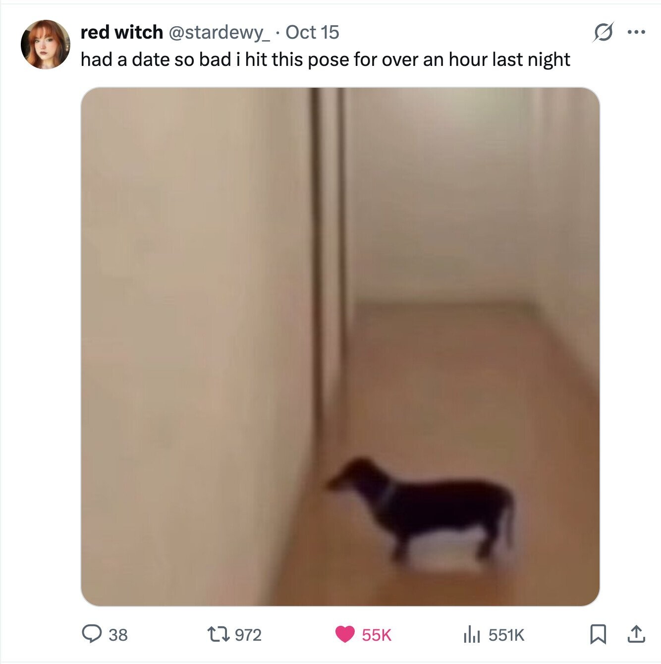 O red witch @stardewy_ Oct 15 ... had a date so bad i hit this pose for over an hour last night 38 972 551K 55K 