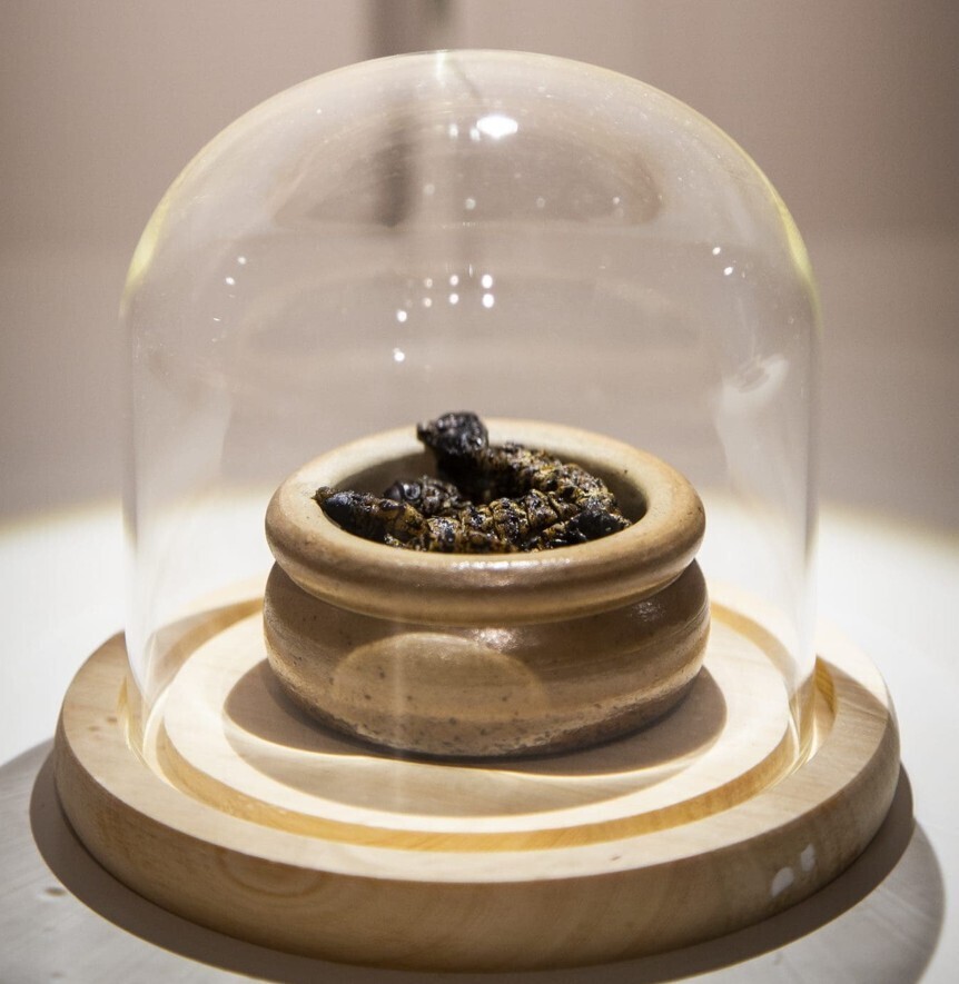 The 20 Worst Christmas Food Trends Ever Conceived