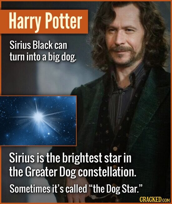 Harry Potter Sirius Black can turn into a big dog. Sirius is the brightest star in the Greater Dog constellation. Sometimes it's called the Dog Star.