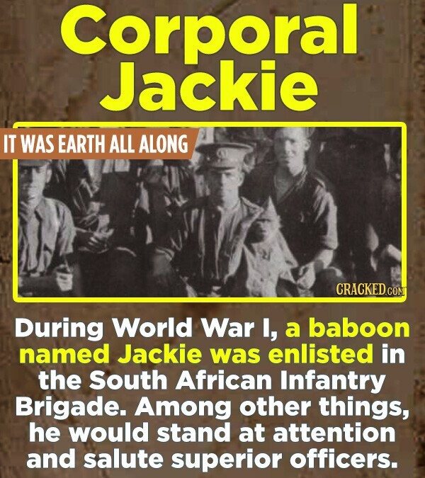 Corporal Jackie IT WAS EARTH ALL ALONG CRACKED.COM During World War I, a baboon named Jackie was enlisted in the South African Infantry Brigade. Among other things, he would stand at attention and salute superior officers.