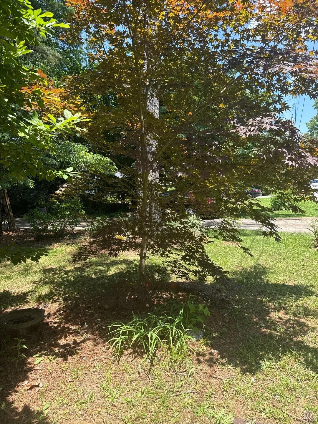 20 People Who Spread Their Ashes in the Oddest Places