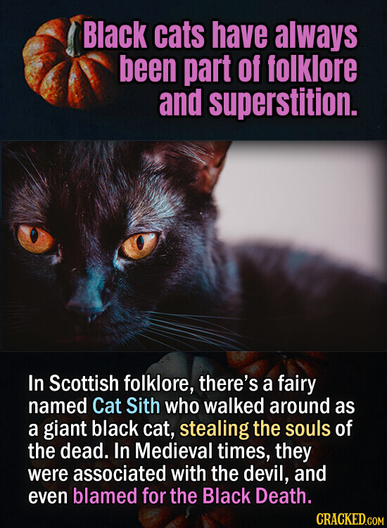 Black cats have always been part of folklore and superstition. In Scottish folklore, there's a fairy named Cat Sith who walked around as a giant black cat, stealing the souls of the dead. In Medieval times, they were associated with the devil, and even blamed for the Black Death. CRACKED.COM
