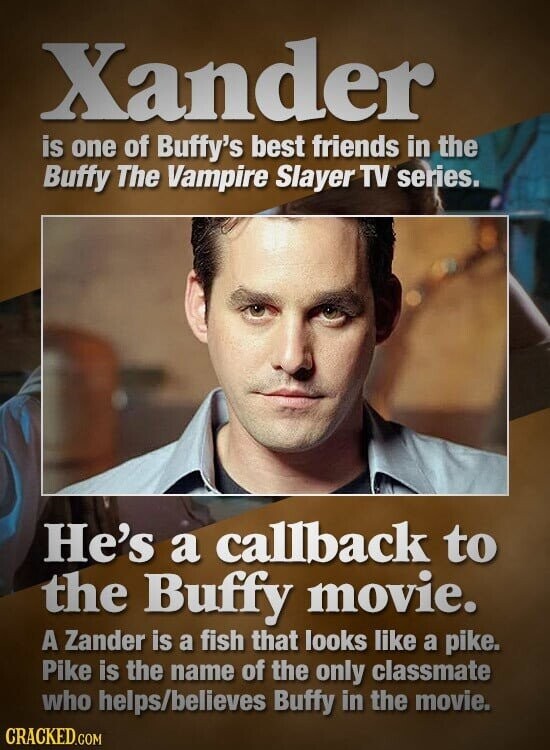 Xander is one of Buffy's best friends in the Buffy The Vampire Slayer TV series. He's a callback to the Buffy movie. A Zander is a fish that looks like a pike. Pike is the name of the only classmate who helps/believes Buffy in the movie. CRACKED.COM