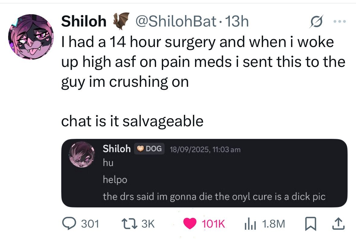 Shiloh @ShilohBat13h ... I had a 14 hour surgery and when i woke up high asf on pain meds i sent this to the guy im crushing on chat is it salvageable Shiloh DOG 18/09/2025, 11:03 am hu helpo the drs said im gonna die the onyl cure is a dick pic 301 3K 101K 1.8M