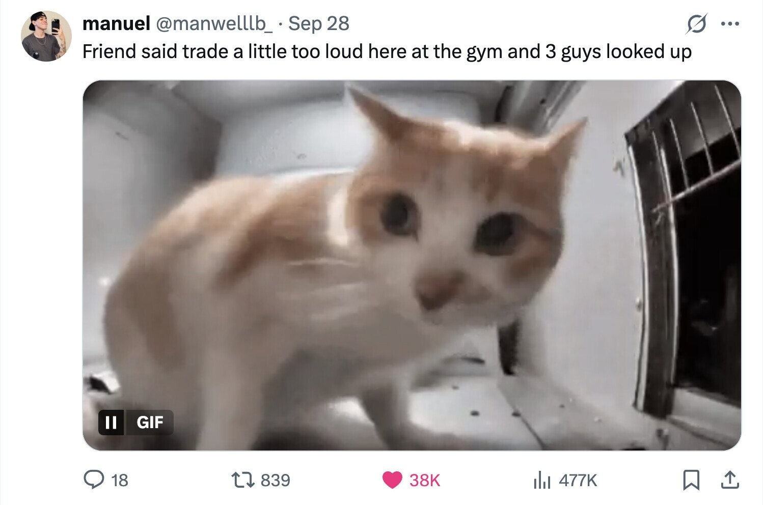 manuel @manwelllb_ Sep 28 ... Friend said trade a little too loud here at the gym and 3 guys looked up GIF 18 839 38K del 477K 