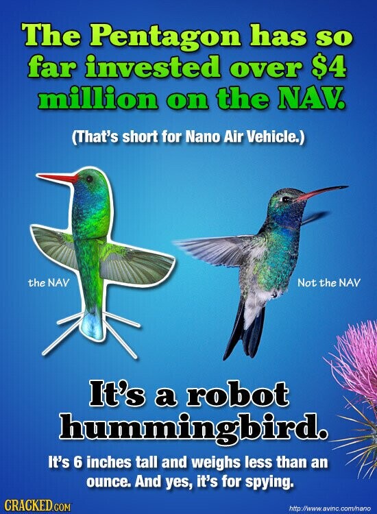 The Pentagon has so far invested over $4 million on the NAV. (That's short for Nano Air Vehicle.) the NAV Not the NAV It's a robot hummingbird. It's 6 inches tall and weighs less than an ounce. And yes, it's for spying. CRACKED.COM http://www.avinc.com/nano