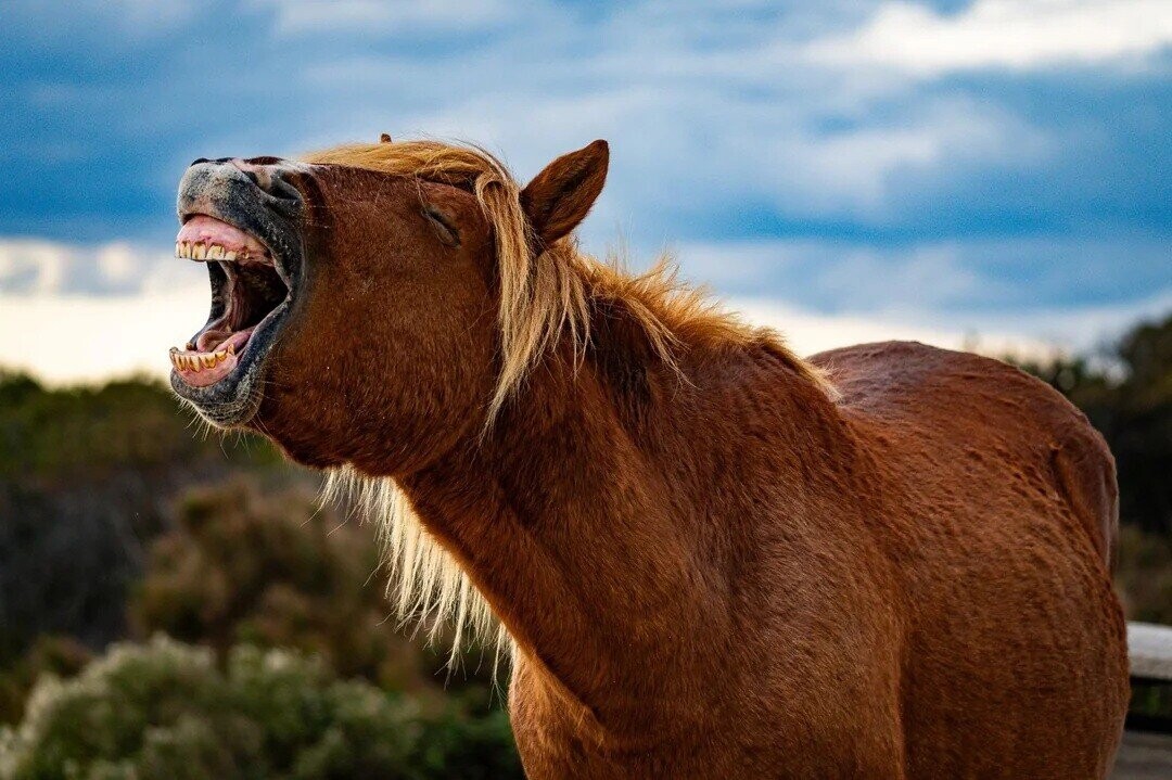 20 of the Day's Most Noteworthy Photos