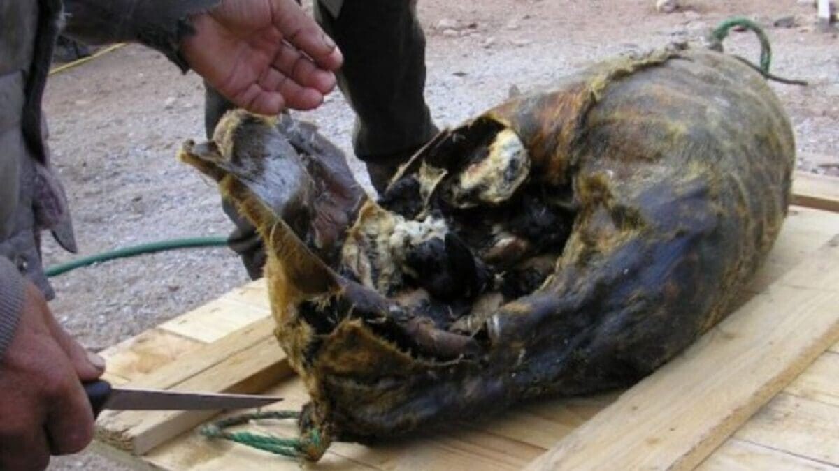 The 20 Worst Christmas Food Trends Ever Conceived