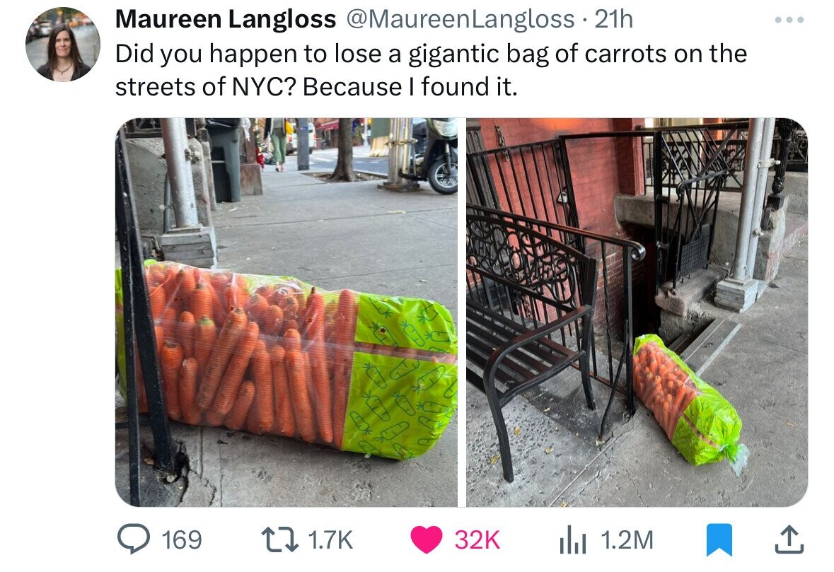Maureen Langloss @MaureenLangloss 2 21h Did you happen to lose a gigantic bag of carrots on the streets of NYC? Because I found it. 169 1.7K 32K 1.2M 
