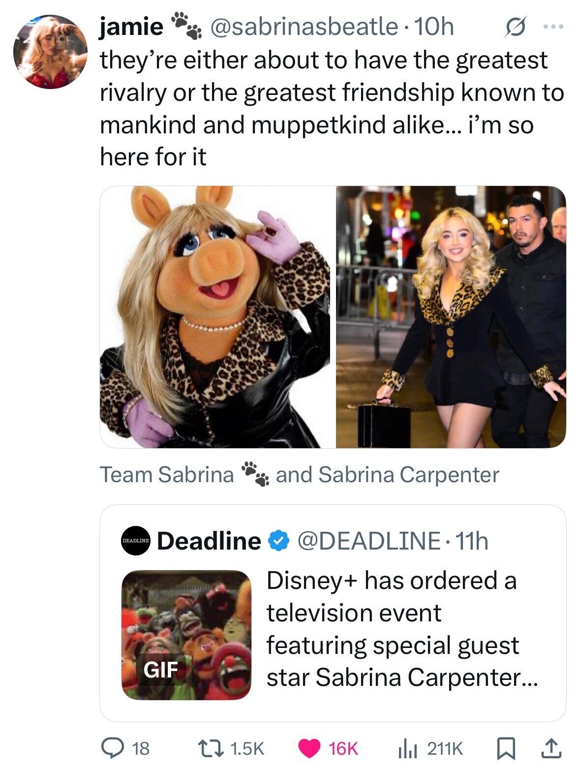 @sabrinasbeatle• 10h jamie s ... they're either about to have the greatest rivalry or the greatest friendship known to mankind and muppetkind alike... i'm so here for it Team Sabrina and Sabrina Carpenter DEADLINE Deadline @DEADLINE.1 11h Disney+ has ordered a television event featuring special guest GIF star Sabrina Carpenter... 1.5K 18 16K dJ 211K 