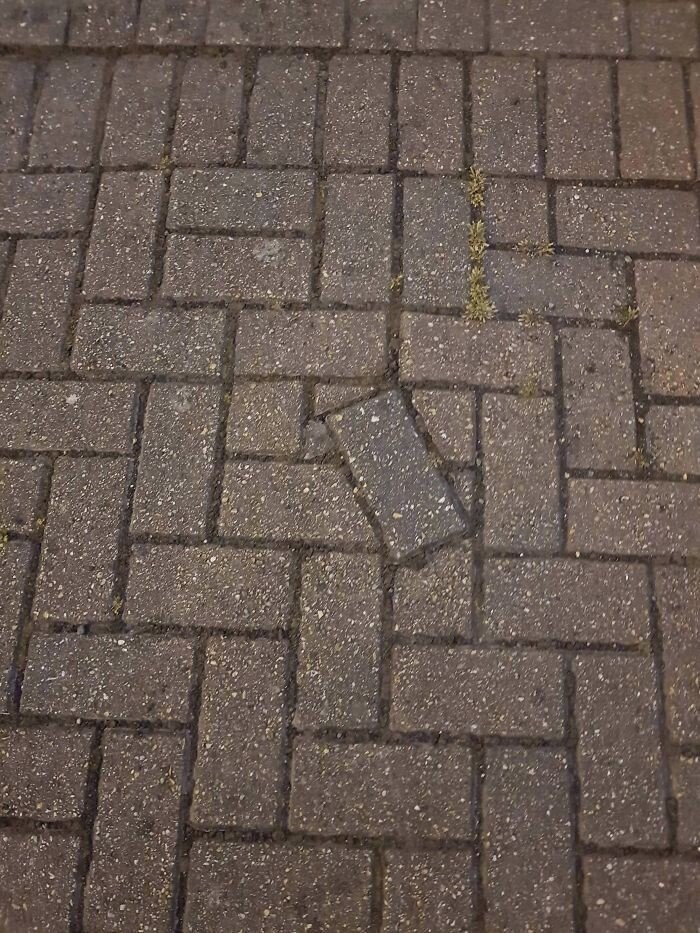 Photos Where Common Sense Took a Back Seat