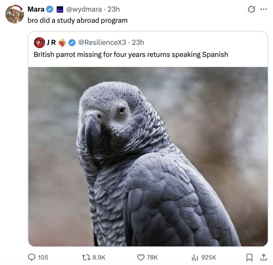 Mara @wydmara.23h S ... bro did a study abroad program JR @ResilienceX3 23h British parrot missing for four years returns speaking Spanish 105 8.9K 78K 925K 