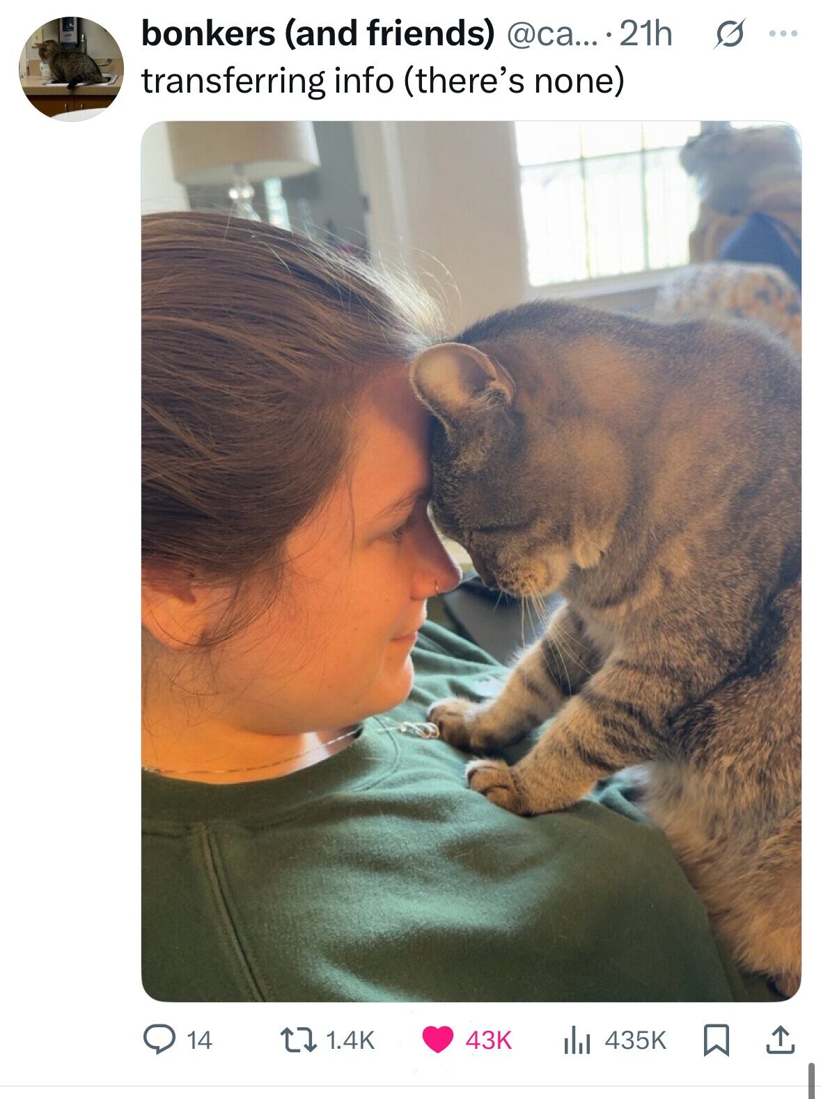 bonkers (and friends) @ca... .21h s ... transferring info (there's none) 14 1.4K 43K 435K 