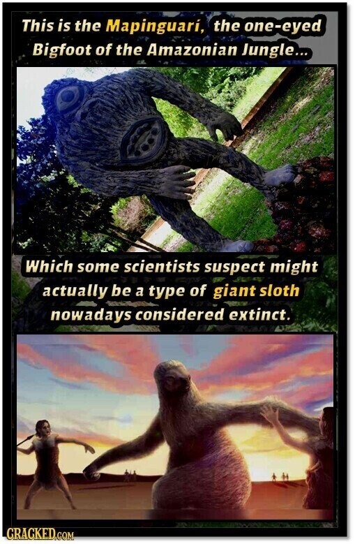 This is the Mapinguari, the one-eyed Bigfoot of the Amazonian Jungle... Which some scientists suspect might actually be a type of giant sloth nowadays considered extinct. CRACKED.COM