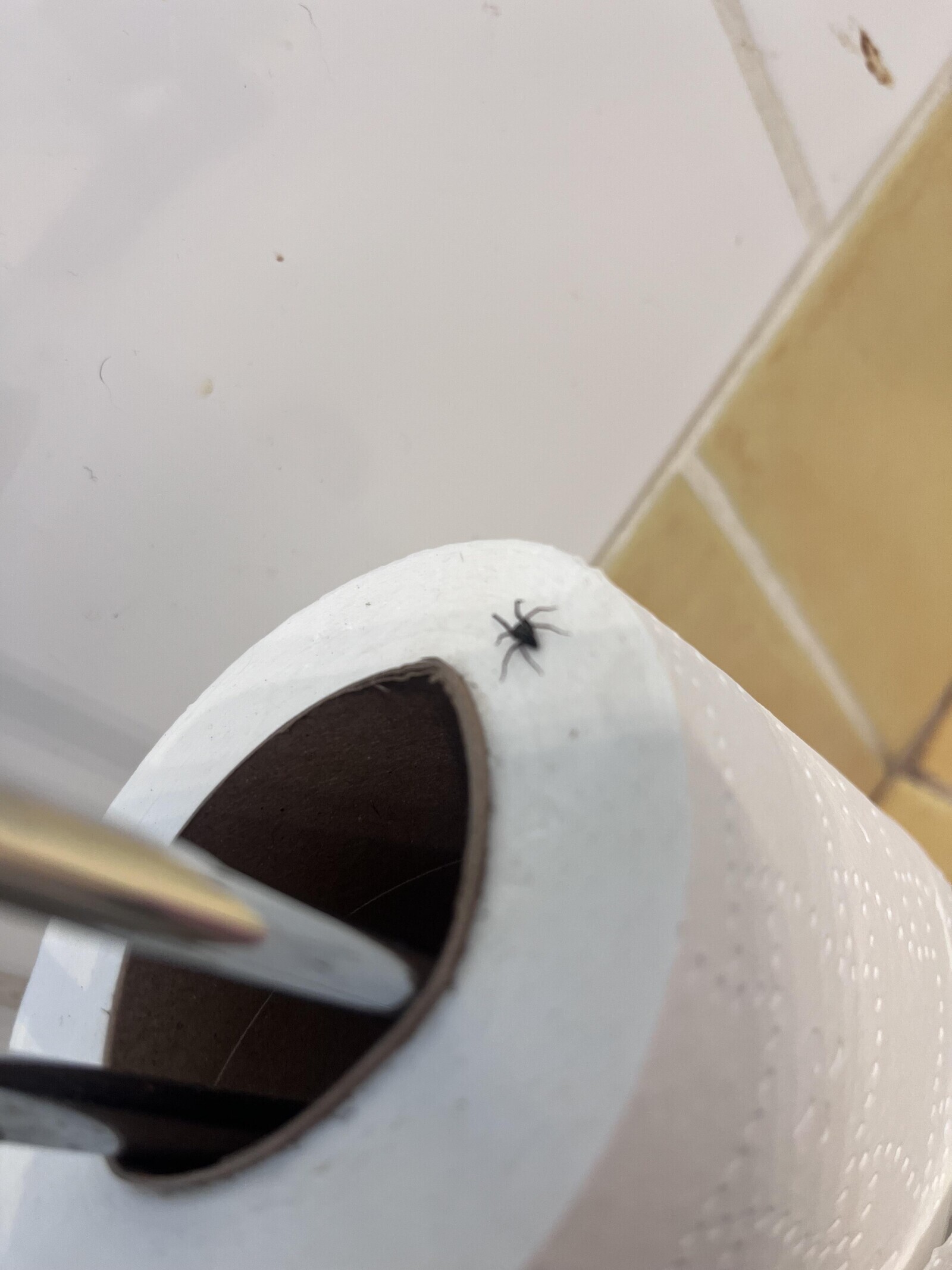 20 Photos Where Help is Definitely Not on the Way