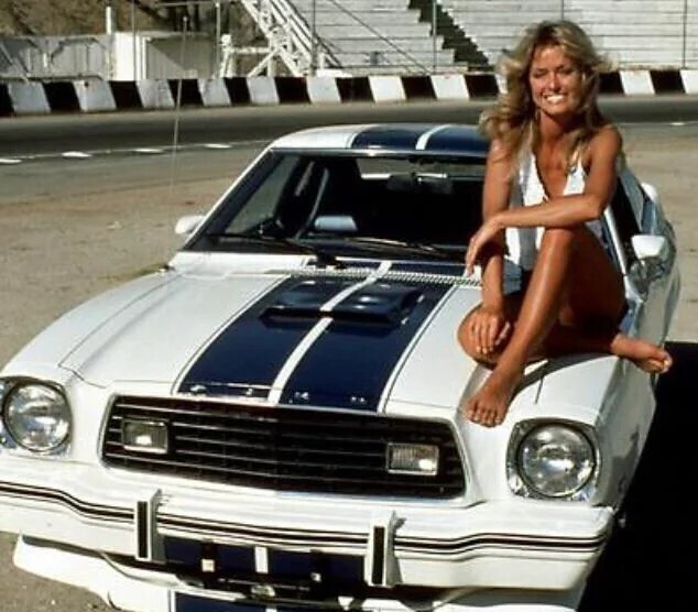 The 1970s Experience as Seen Through Cars and Culture