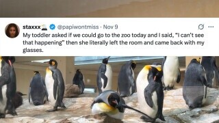 36 of the Funniest Tweets from Monday, November 10, 2025