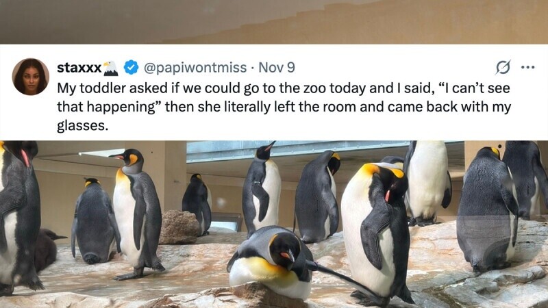 36 of the Funniest Tweets from Monday, November 10, 2025