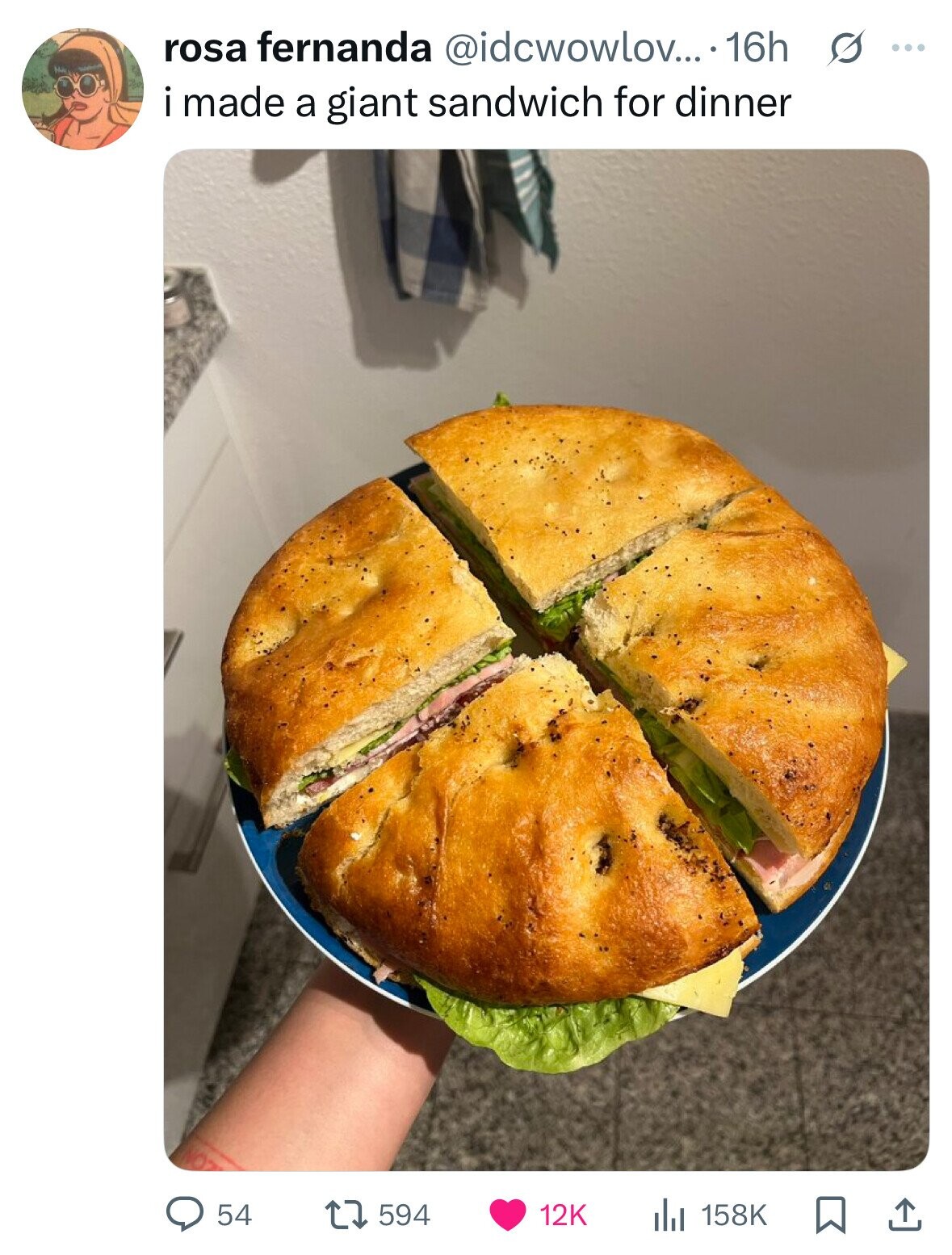 rosa fernanda @idcwowlov... 16h s ... i made a giant sandwich for dinner 54 594 12K 158K 