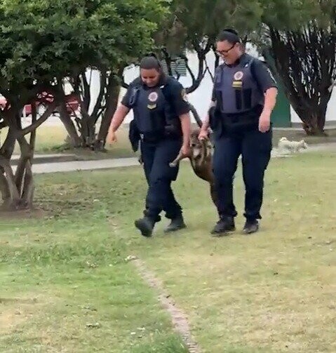 20 of the Day's Most Noteworthy Photos