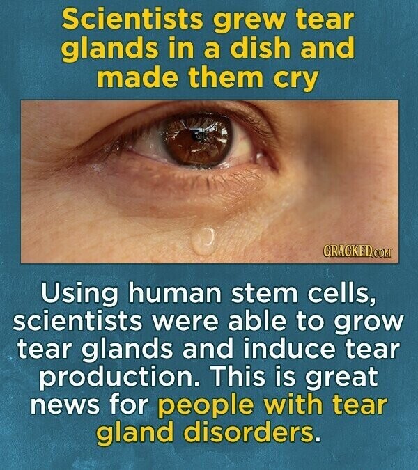 Scientists grew tear glands in a dish and made them cry CRACKED.COM Using human stem cells, scientists were able to grow tear glands and induce tear production. This is great news for people with tear gland disorders.