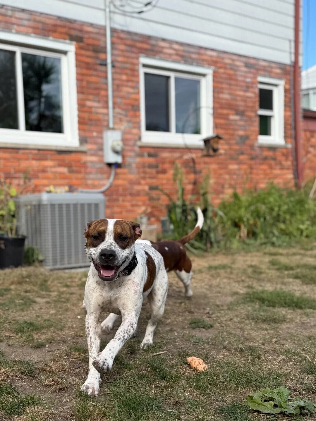 Photos Where Not Everything is as it Seems