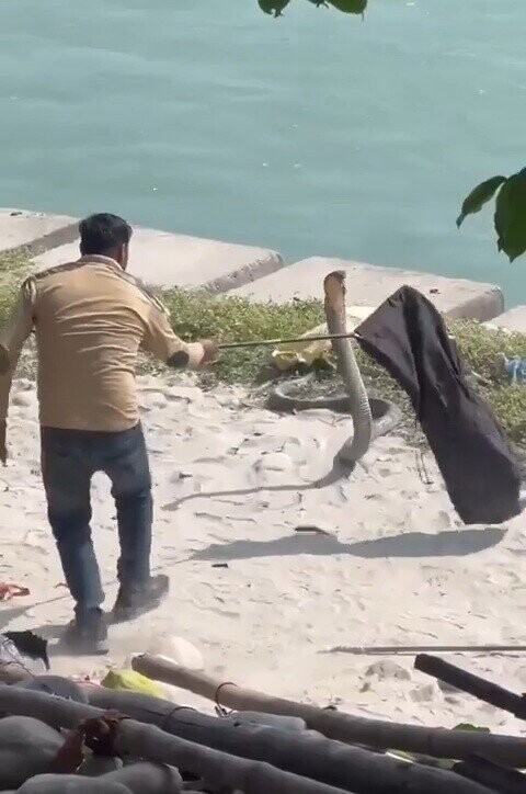 20 of the Day's Most Noteworthy Photos