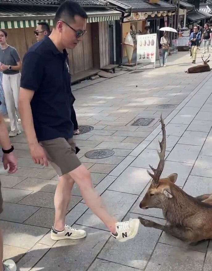 20 Tourists Showing That Travel Can't Fix Entitlement